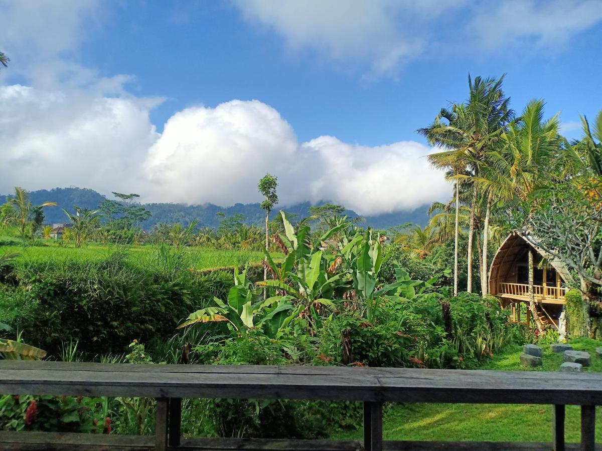 Jero Tumbuk Private Villa Selat Экстерьер фото