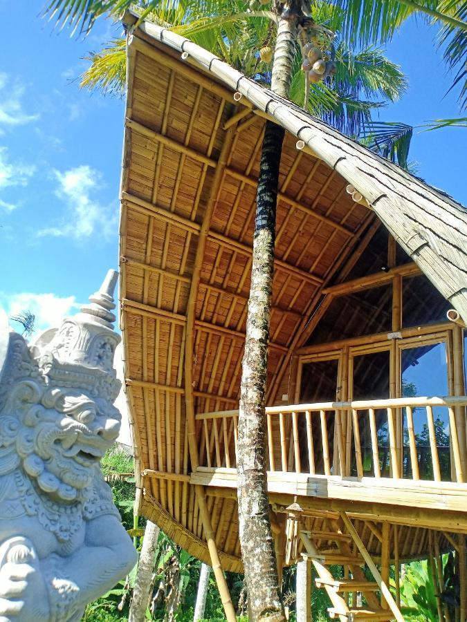 Jero Tumbuk Private Villa Selat Экстерьер фото