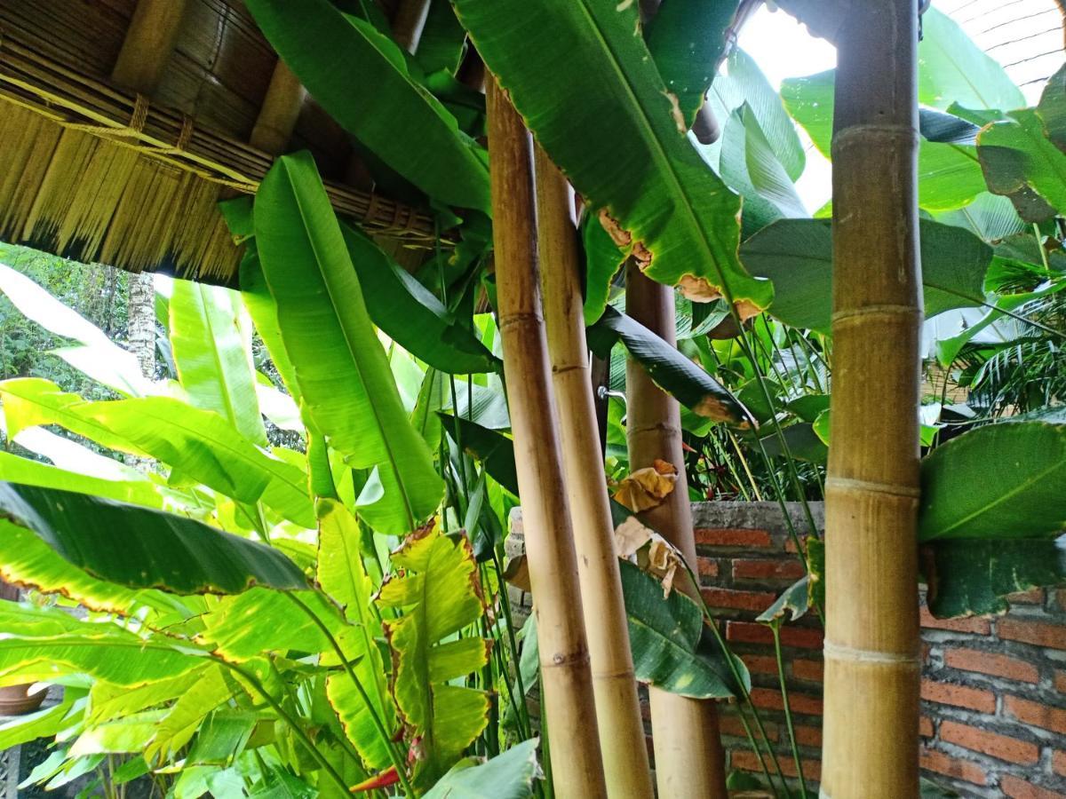 Jero Tumbuk Private Villa Selat Экстерьер фото