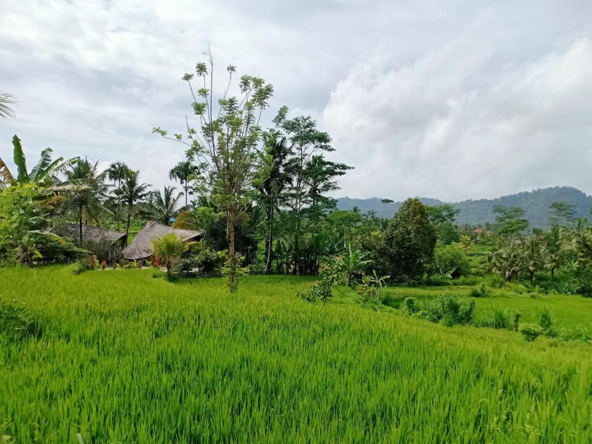 Jero Tumbuk Private Villa Selat Экстерьер фото