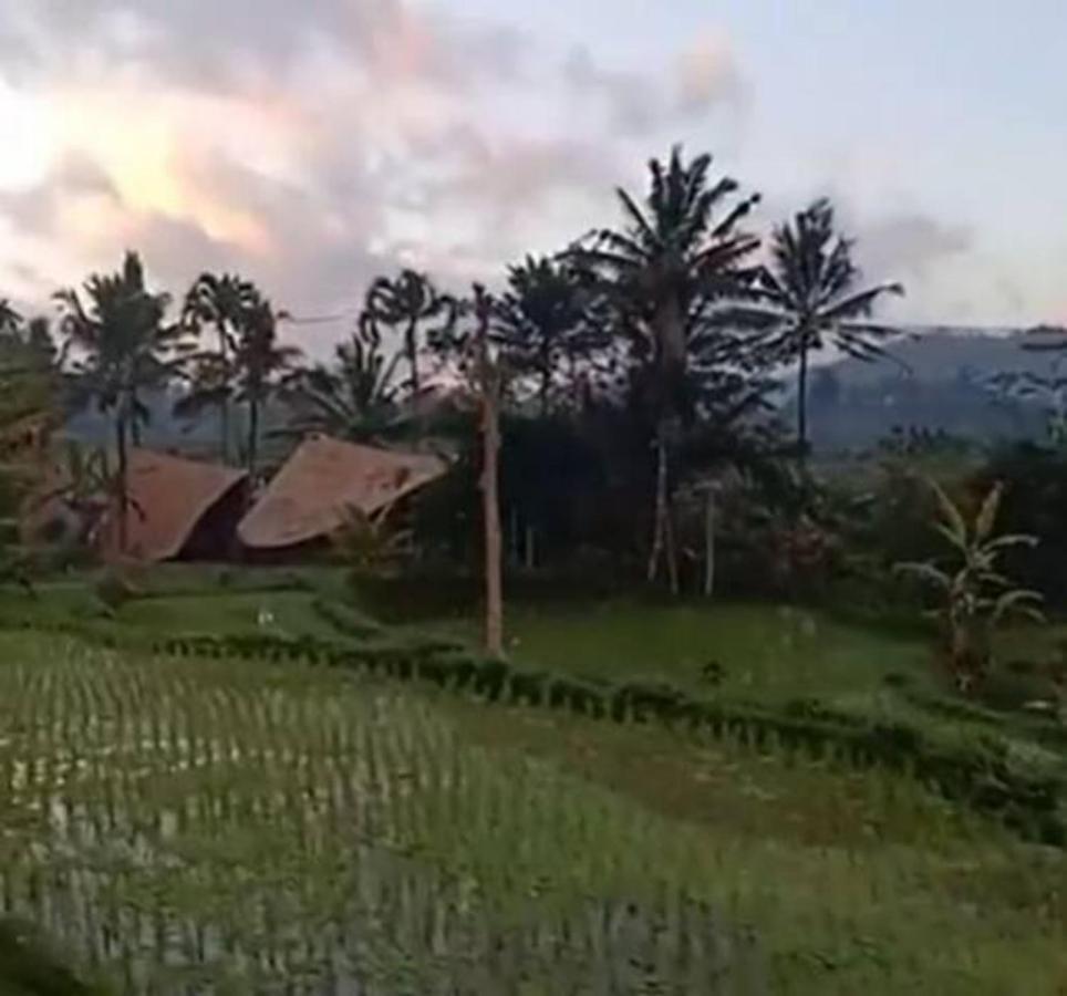 Jero Tumbuk Private Villa Selat Экстерьер фото