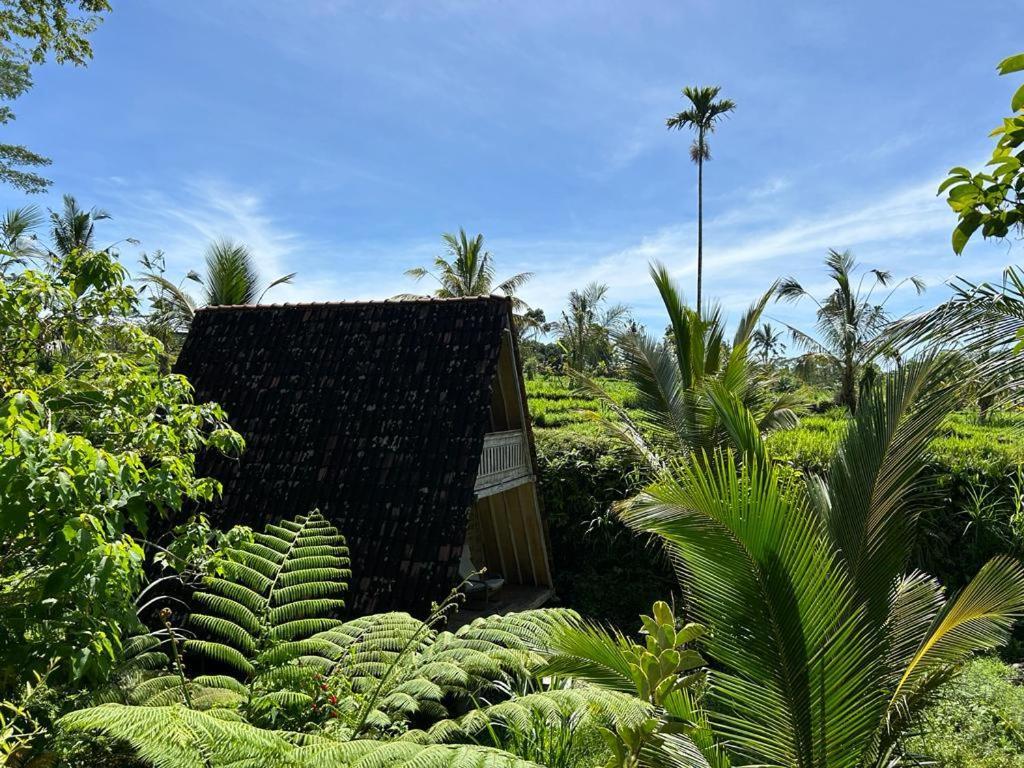 Jero Tumbuk Private Villa Selat Экстерьер фото