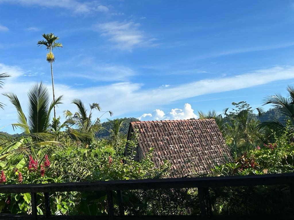 Jero Tumbuk Private Villa Selat Экстерьер фото