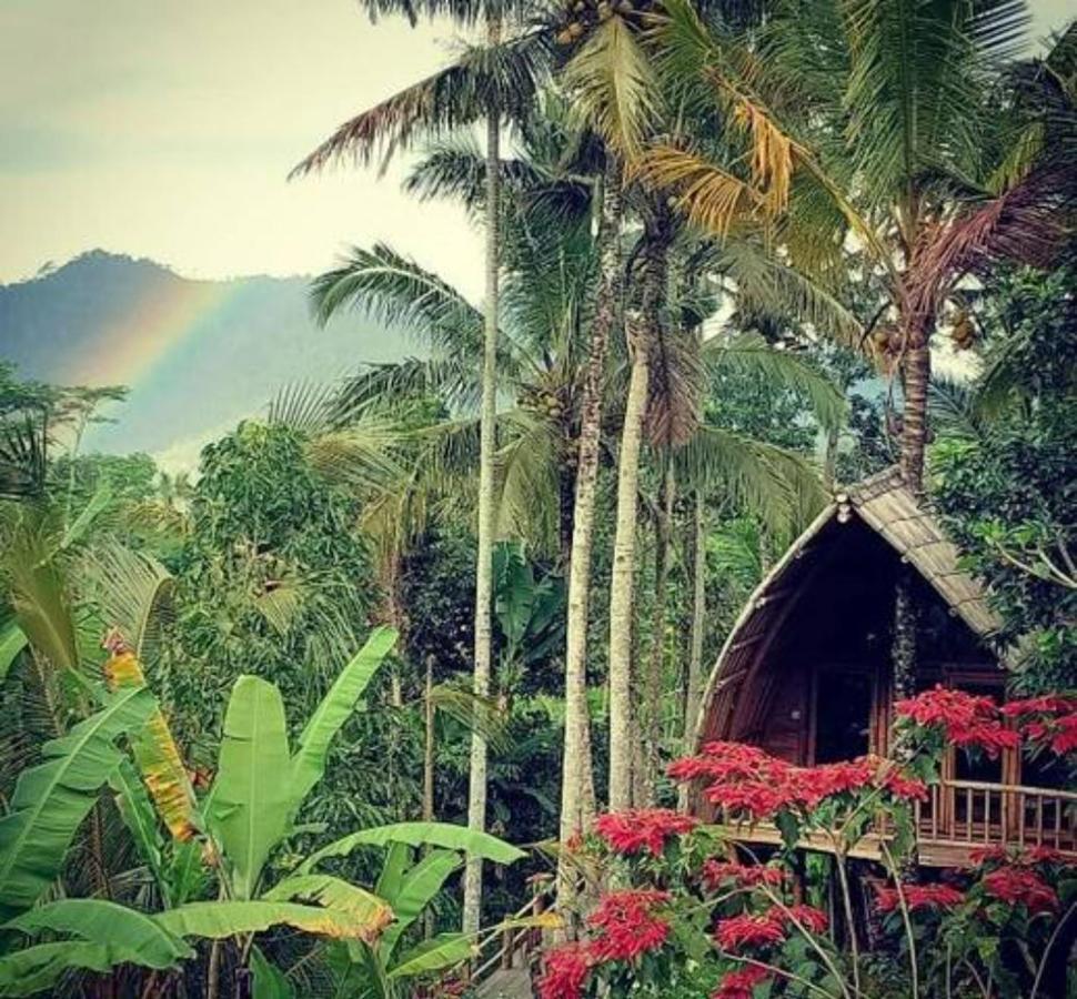 Jero Tumbuk Private Villa Selat Экстерьер фото